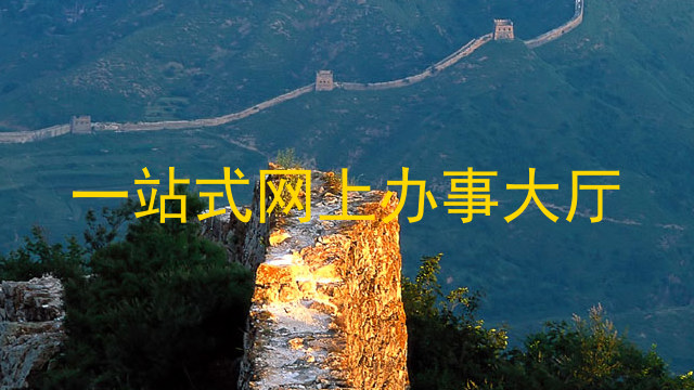 一站式网上办事大厅