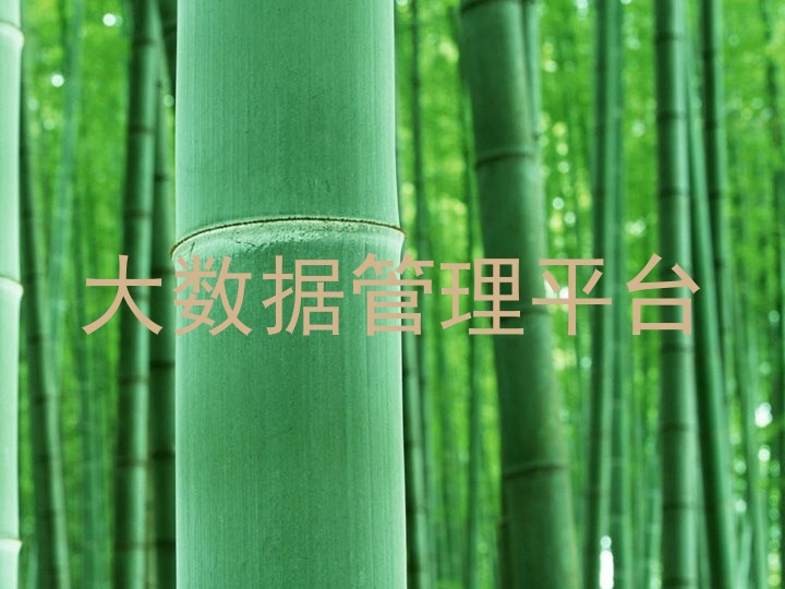 大数据管理平台