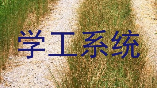 学工系统