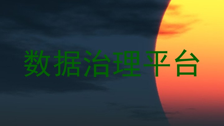 数据治理平台