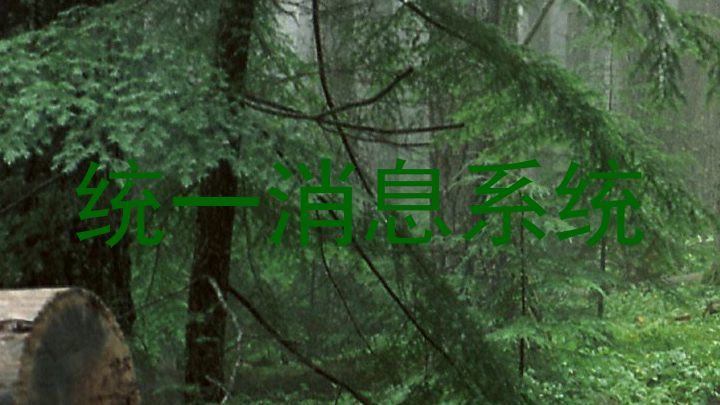 統(tǒng)一消息系統(tǒng)