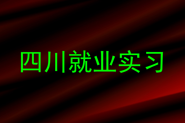 四川就业实习
