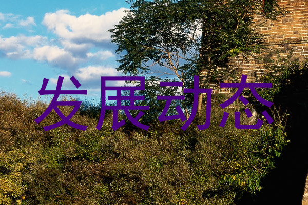发展动态