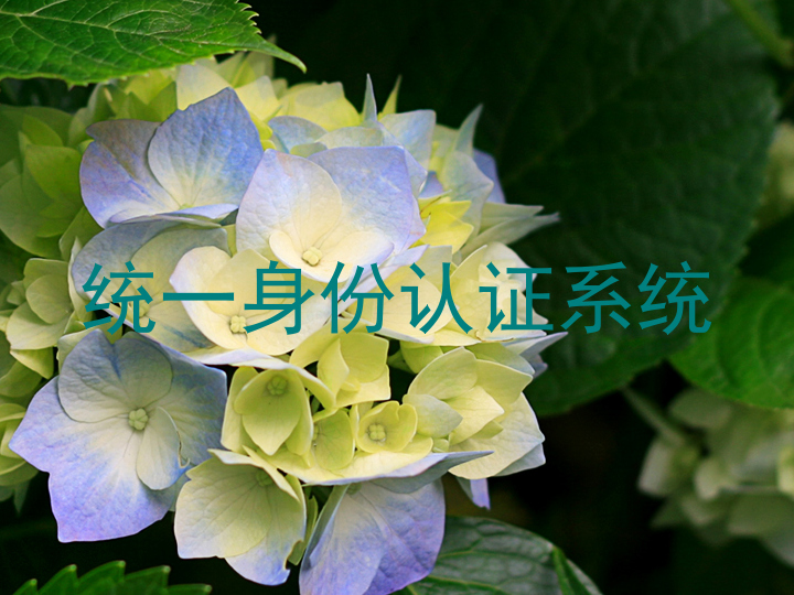 统一身份认证系统