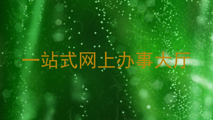 一站式网上办事大厅