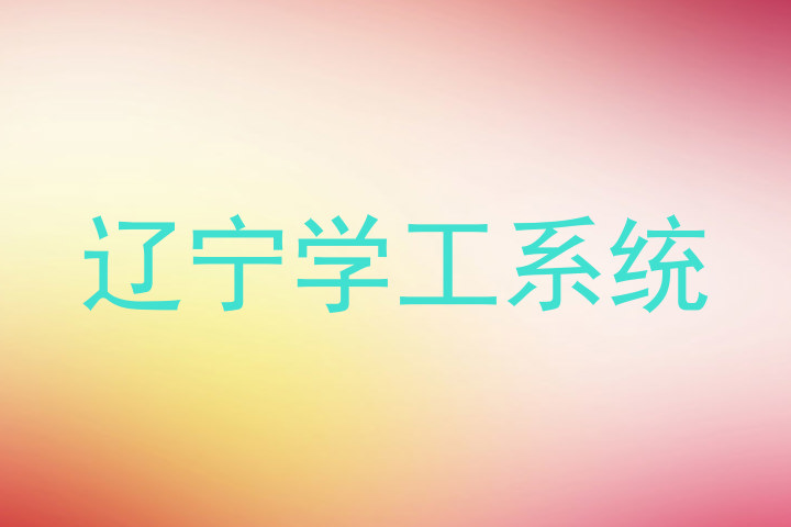 辽宁学工系统