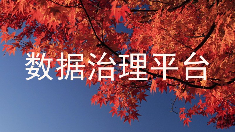 数据治理平台
