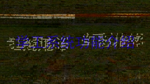 学工系统功能介绍