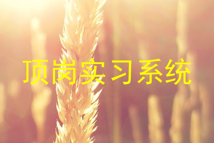 顶岗实习系统