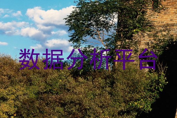 数据分析平台