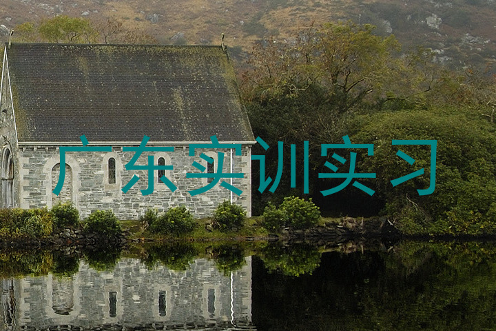 广东实训实习