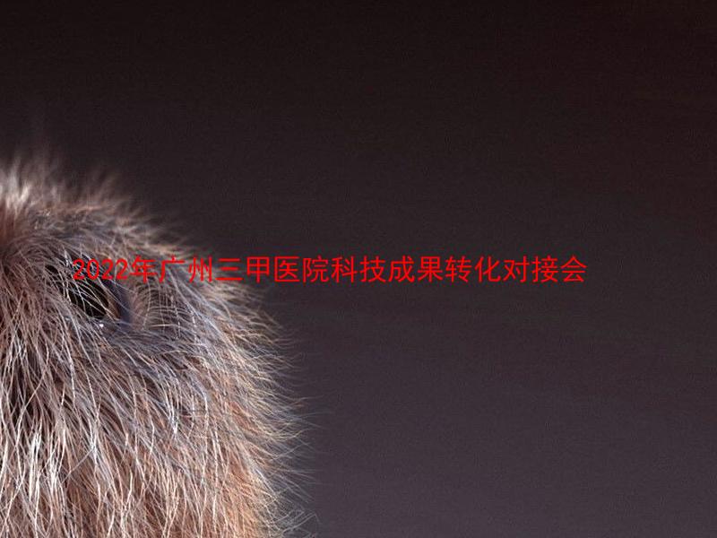 2022年广州三甲医院科技成果转化对接会