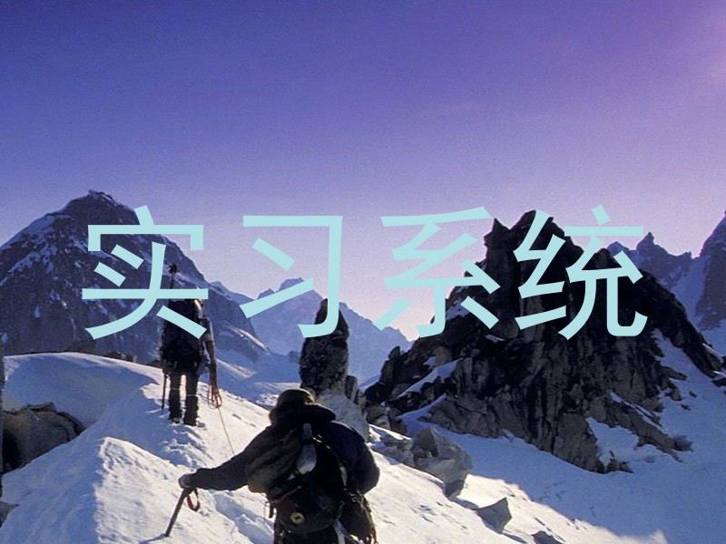 实习系统