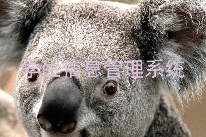 学生信息管理系统