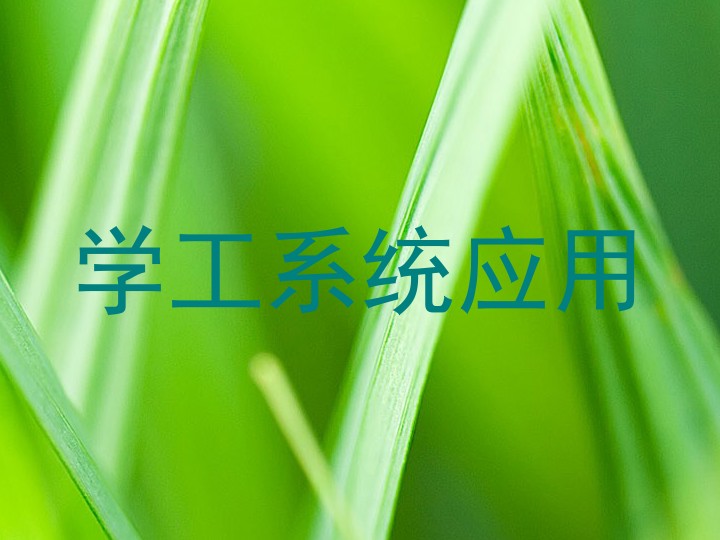 学工系统应用