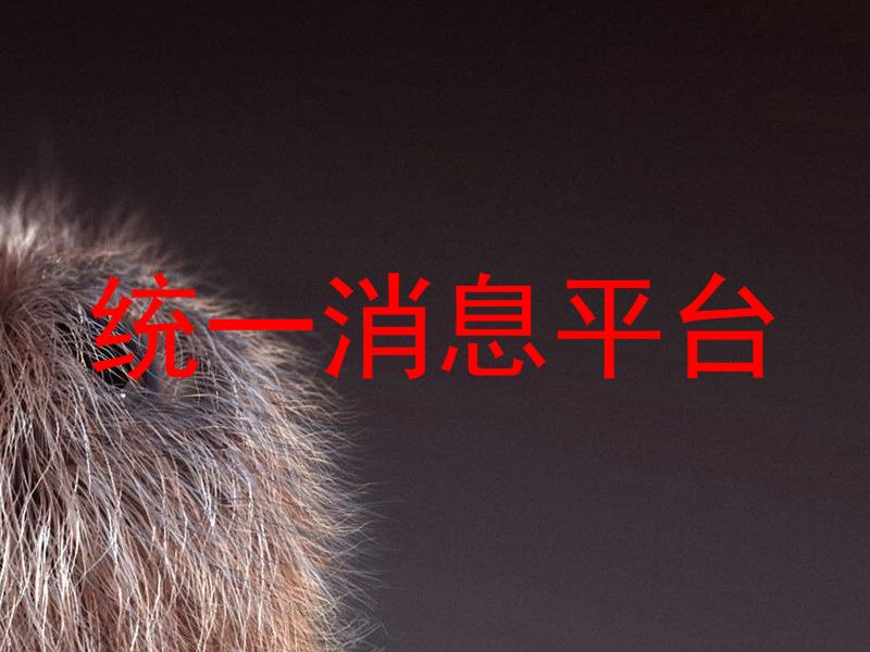 統(tǒng)一消息平臺(tái)