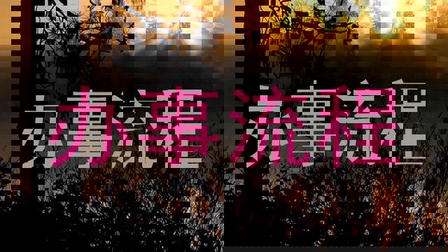 办事流程