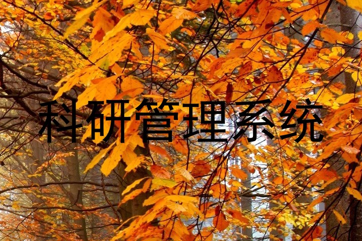 科研成果管理系统