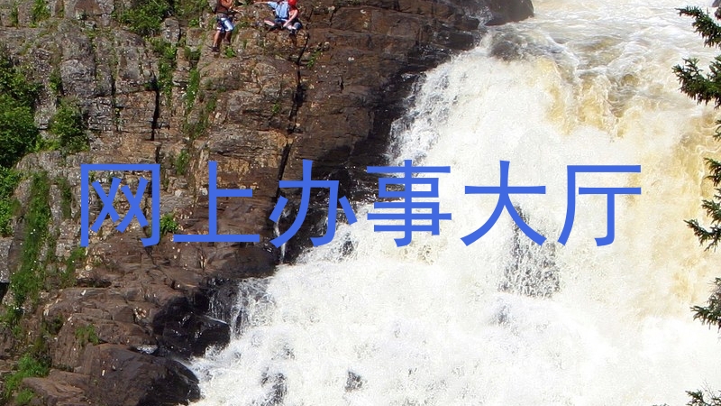 网上办事大厅
