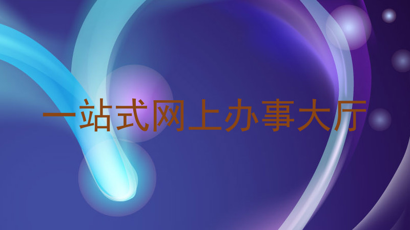 一站式网上办事大厅