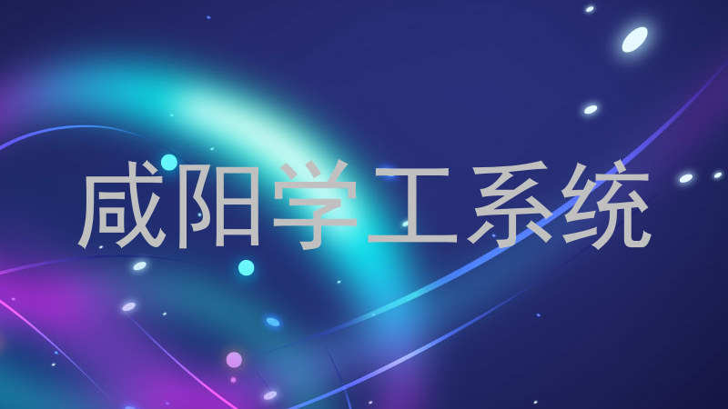 咸阳学工系统