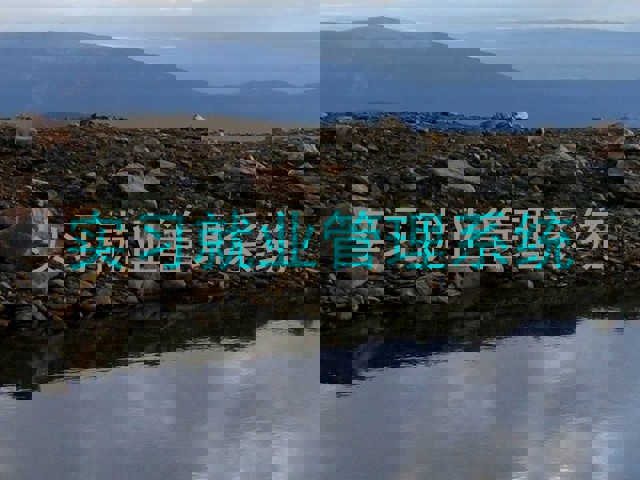 实习就业管理系统