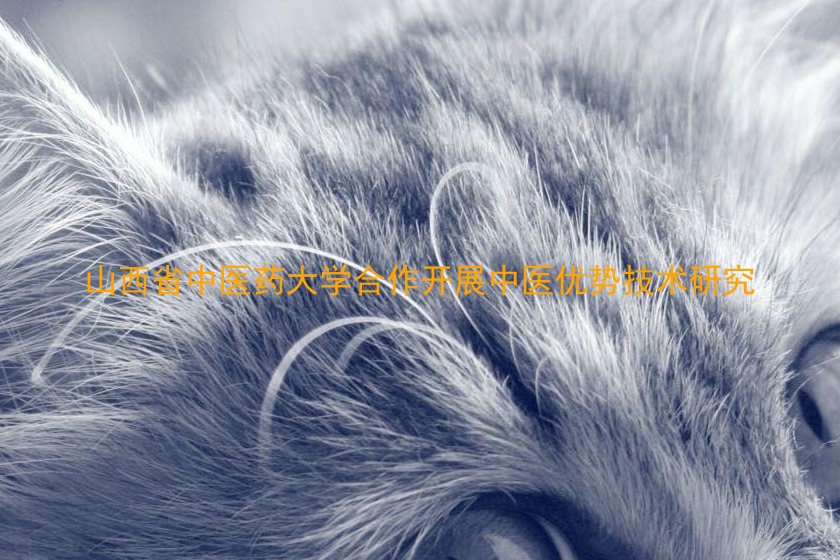 山西省中医药大学合作开展中医优势技术研究