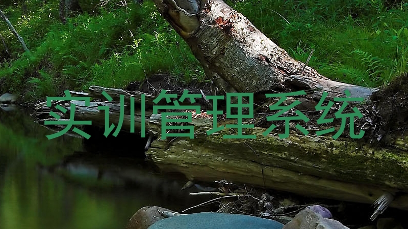 实训管理系统