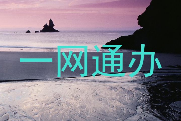 一网通办