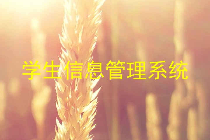 学生信息管理系统
