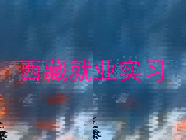 西藏就业实习
