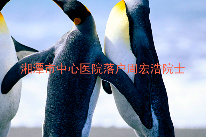 湘潭市中心医院落户周宏浩院士