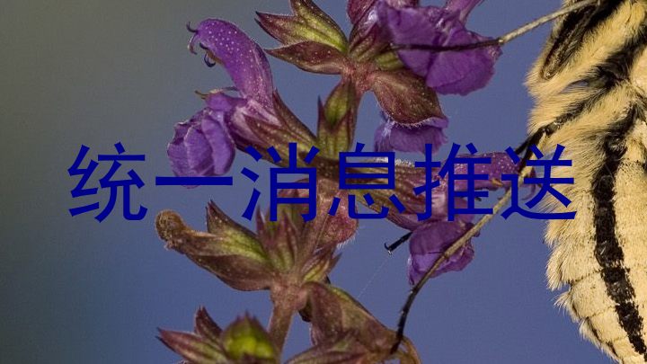 統(tǒng)一消息推送