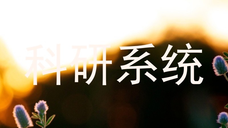 科研系统