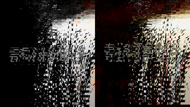 高校科研管理系统