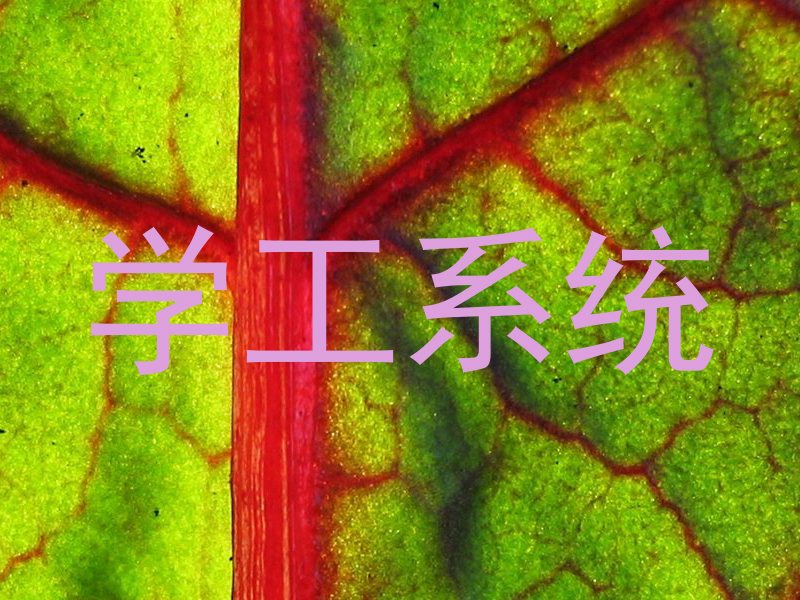 学工系统