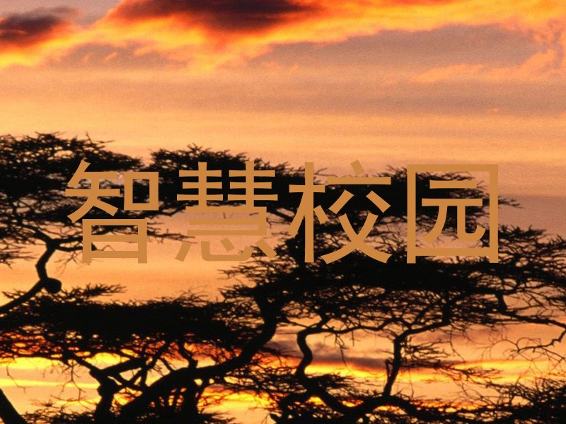 智慧校园