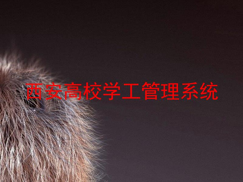 西安高校学工管理系统