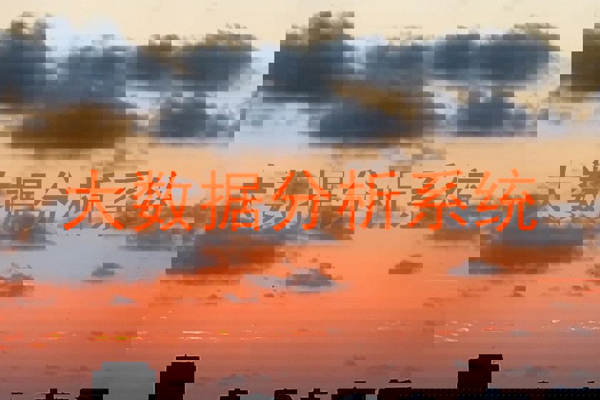 大数据分析系统