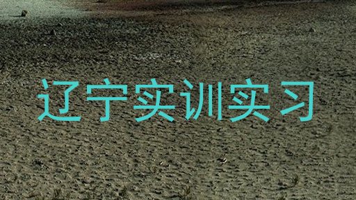 辽宁实训实习