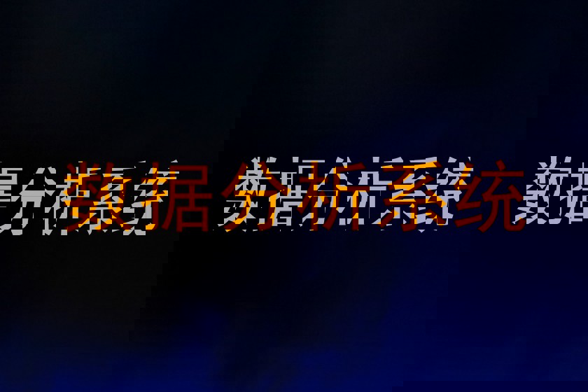 数据分析系统