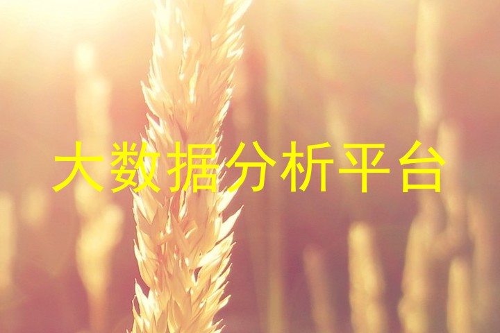 大数据分析平台