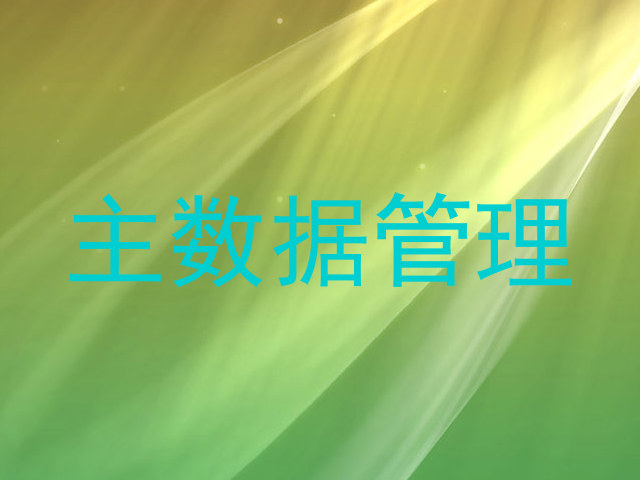 主数据管理