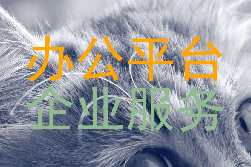 办公平台