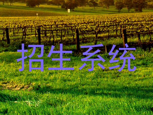 招生系统