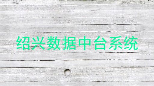 绍兴数据中台系统