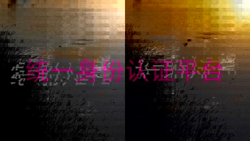 统一身份认证平台