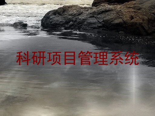 科研项目管理系统