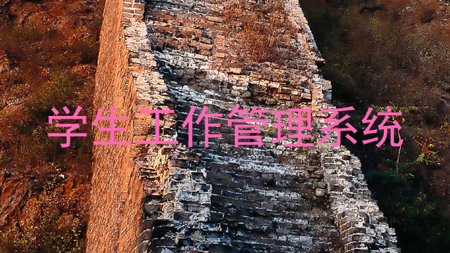 学生工作管理系统