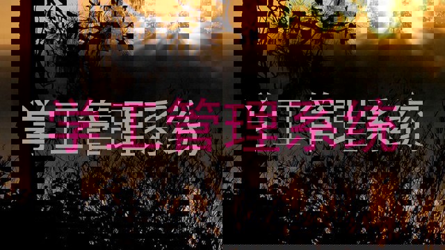 学工管理系统